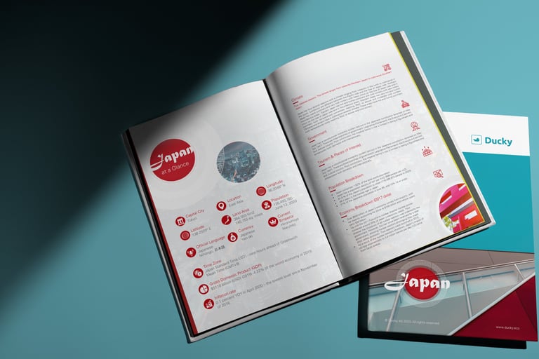 Ducky Slide Report - grafisches Konzept 2