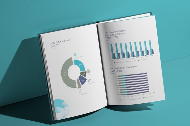 Ducky Slide Report - grafisches Konzept