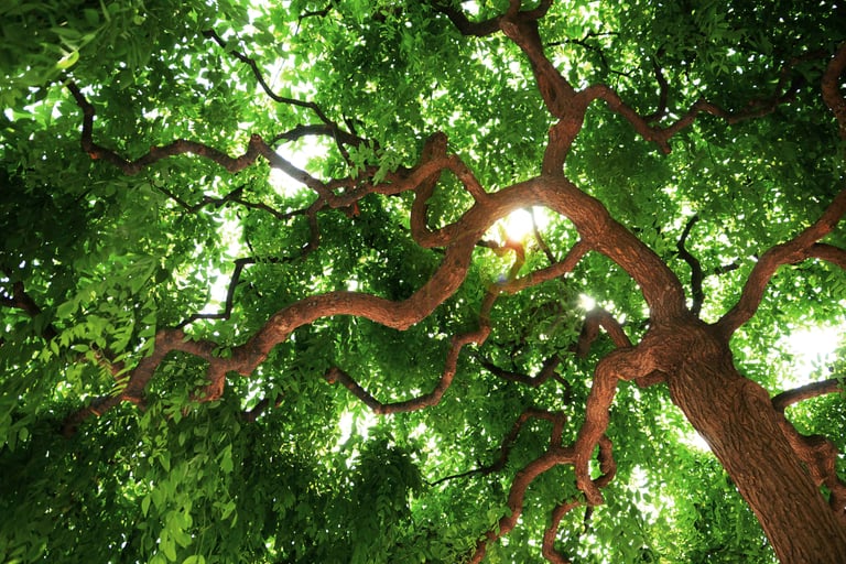 sales@okaypharmusa.com