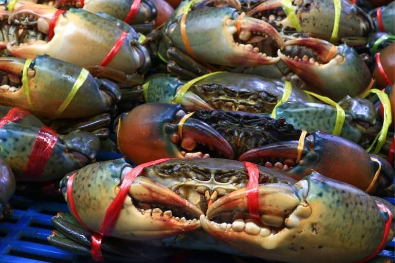 vietnamese crab supplier