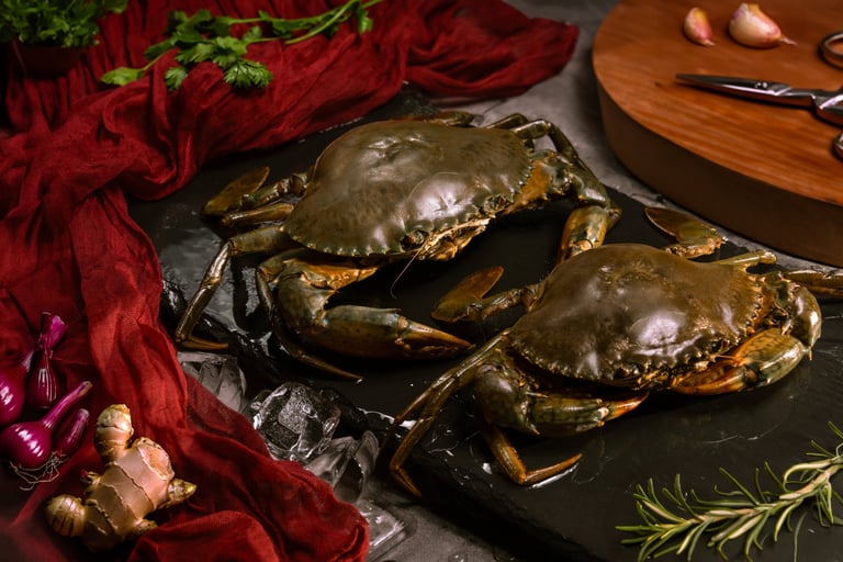 seamorny - vietnamese crab supplier