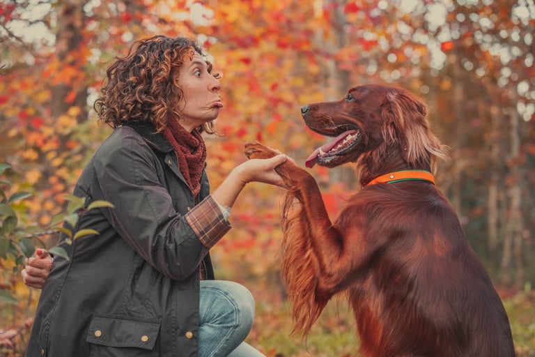 scatto autunnale di un cane che dà la zampa alla padrona che fa un'espressione buffa
