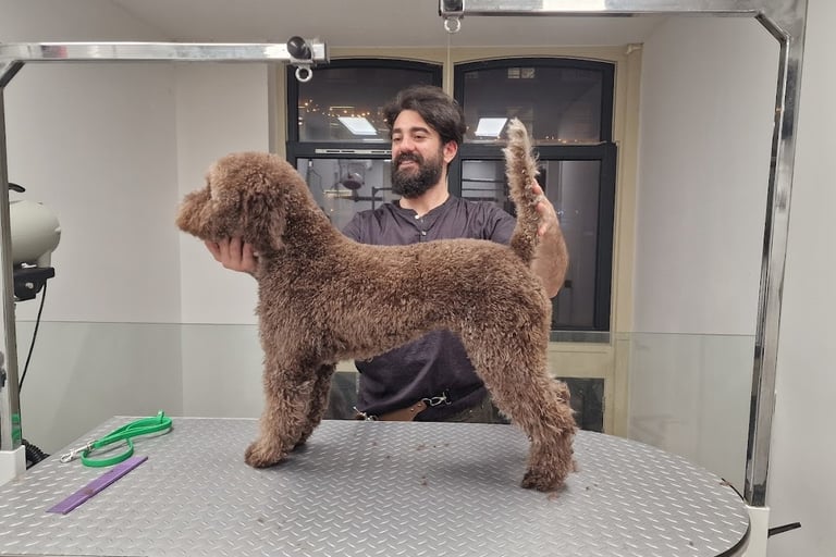 emg-dog-grooming-studio-amserdam-east