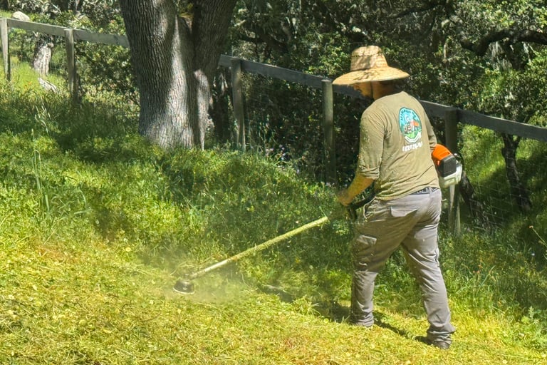 weed whacking