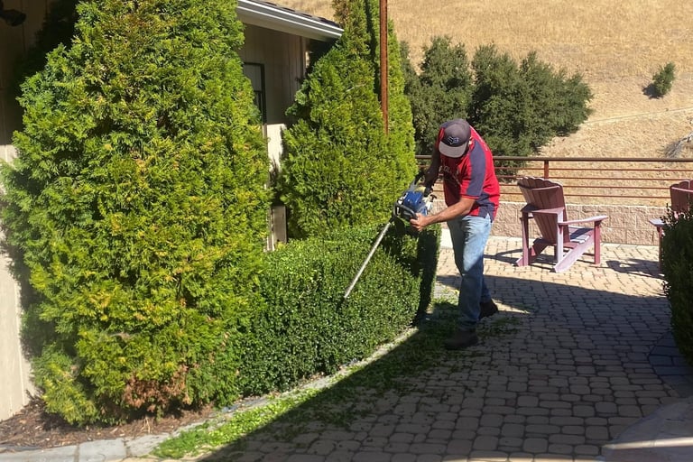 Hedge trimming