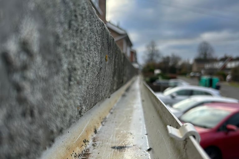 clean gutter