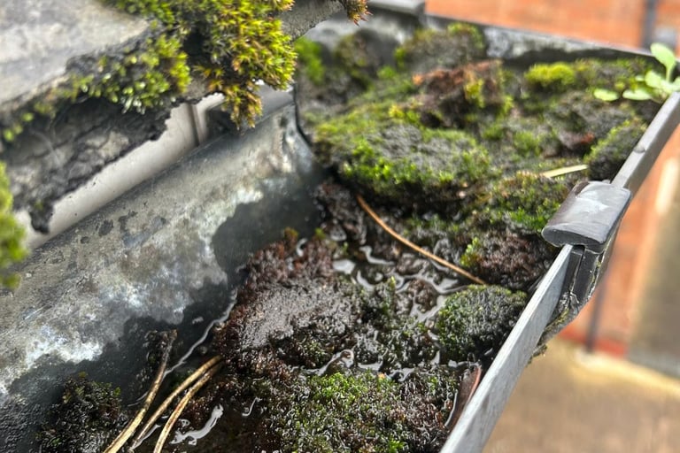 blocked gutter
