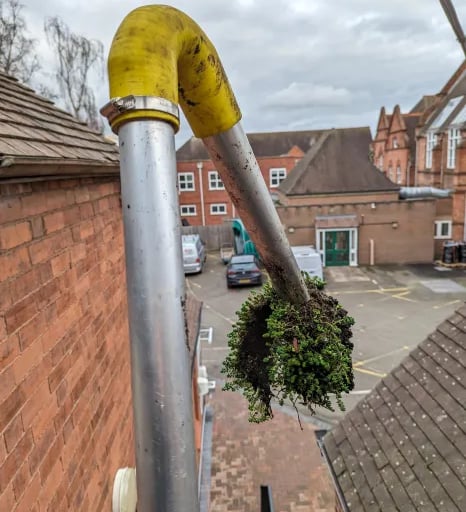 moss pulled from gutter