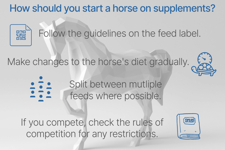 a horse win the back ground of text about horse supplements