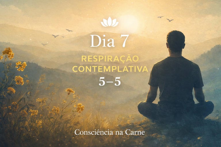 Respiro beleza, expiro gratidão