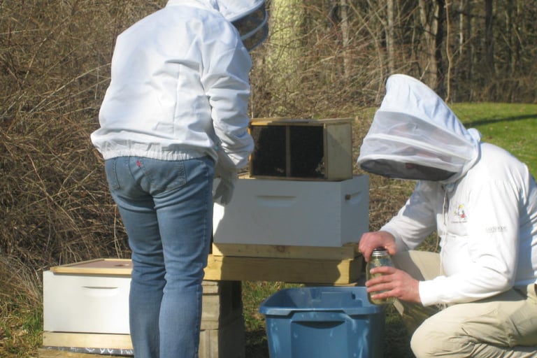 Beehive installation 2014, Damariscotta Mills