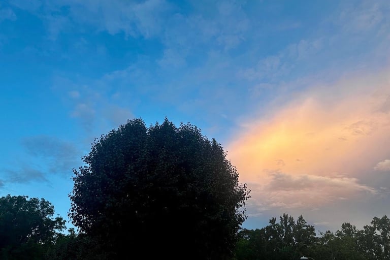 Blue sky at sunset with a pink cloud above tree shadows and a large tree, evoking a magical evening spent with a baby.