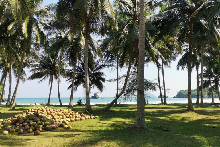 Coral beach ( Khaï Nao beach ) Chumphon