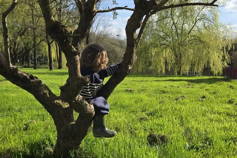 parc jardin étang nature