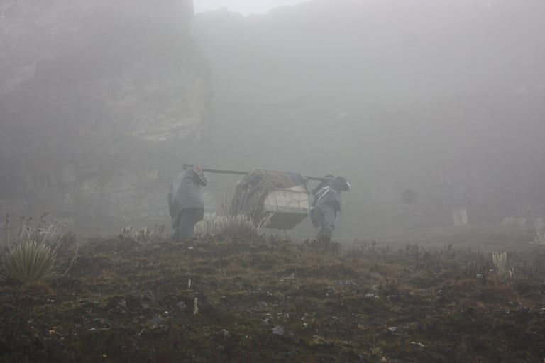 Día de liberación de cóndor andino en Cerros Nevados Ritacuá, Cocuy, Colombia