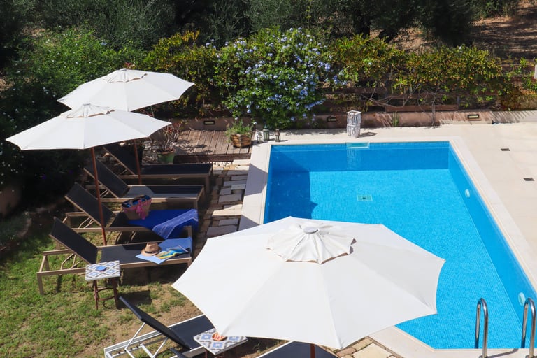 sunbeds and umbrellas by the pool