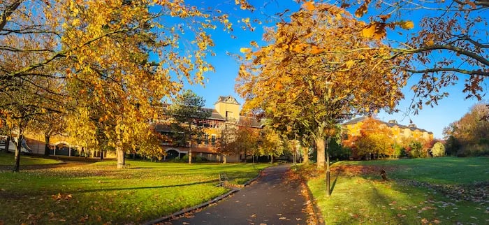 Golden autumn leaves frame a university campus path with historic brick buildings under a clear blue sky.