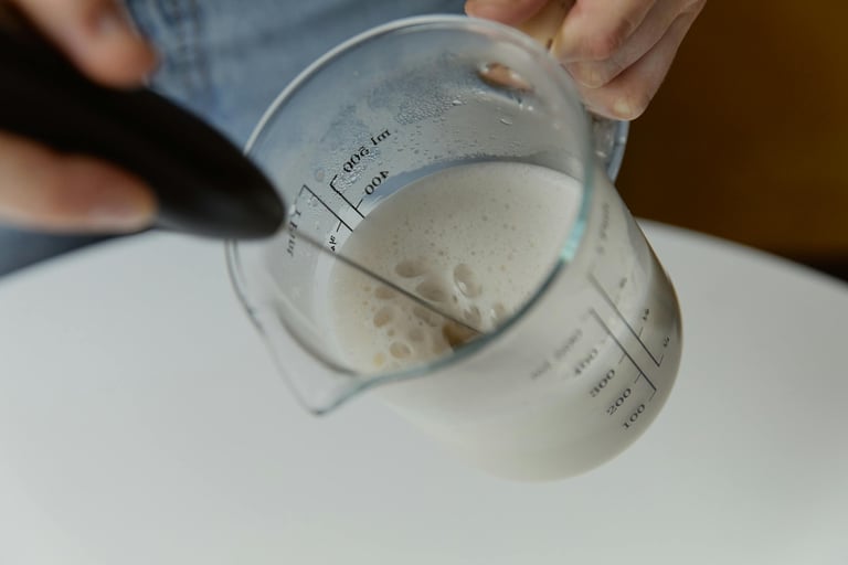 electric handheld milk frother