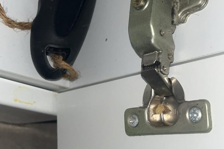 traitement blattes cafard bonneville