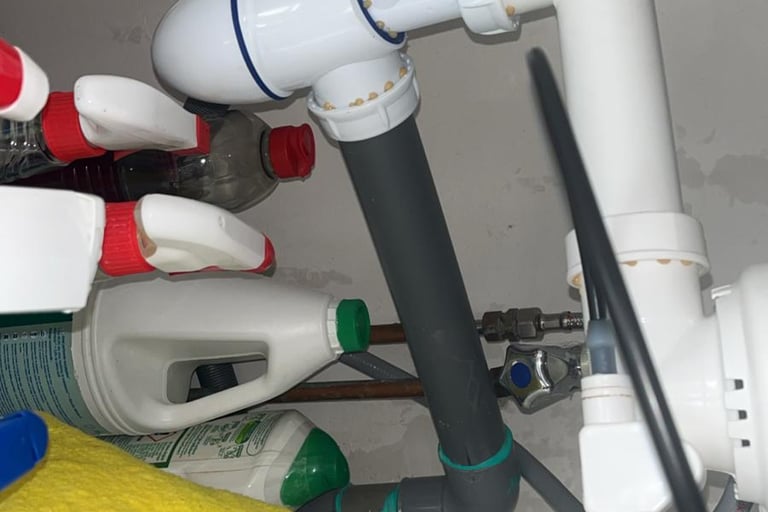 traitement blattes cafard cluses