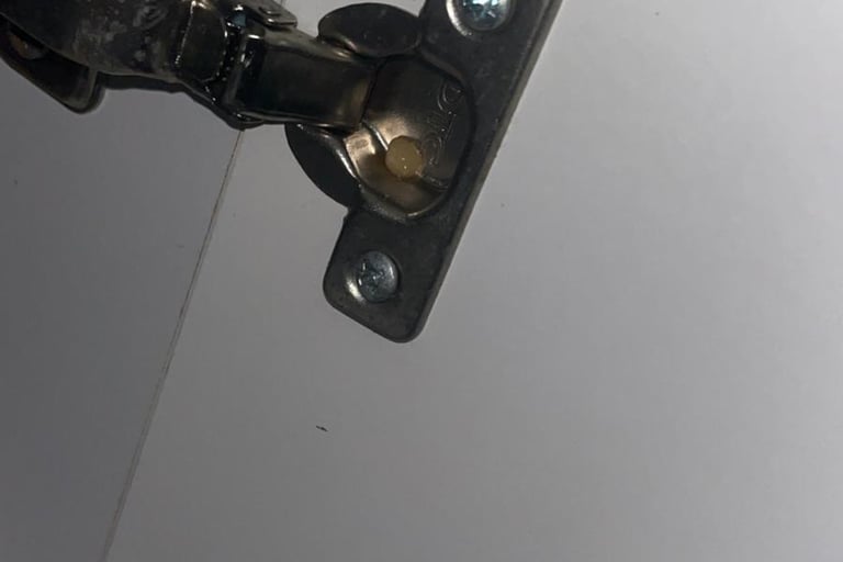 traitement blattes cafard la roche sur foron