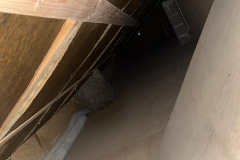 retrait nid de guêpes bonneville