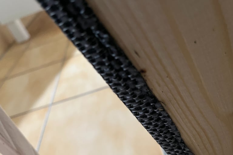 société punaises de lit annemasse