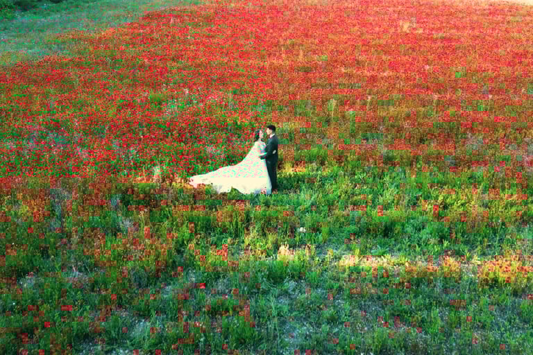 Vue par drone mariage domaine Provence