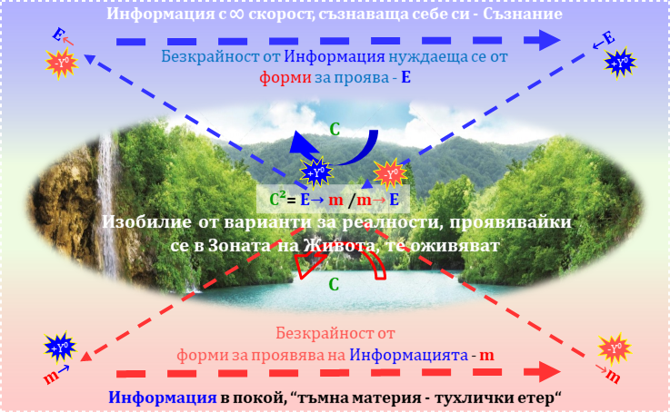 Как се проявяват изобилие от варианти в зоната на Животът