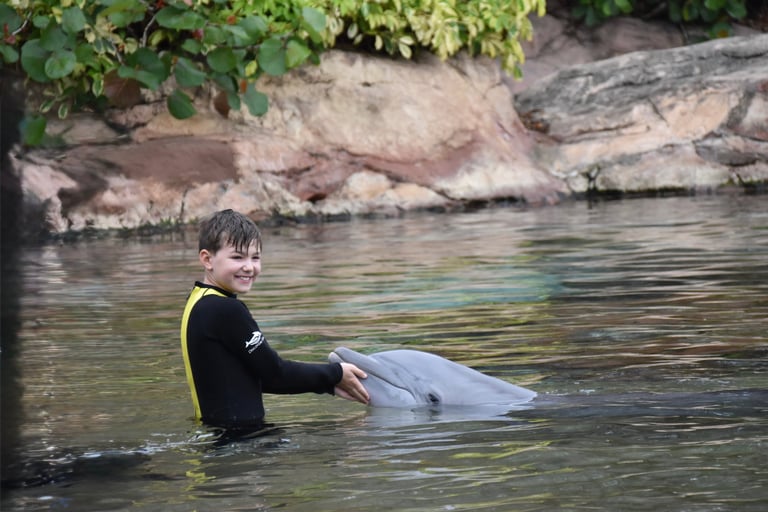 dolphin swim at discovery cove