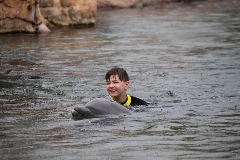 dolphin swim at discovery cove with kids