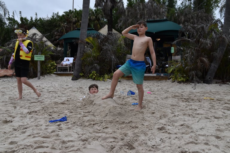 beaches at discovery cove