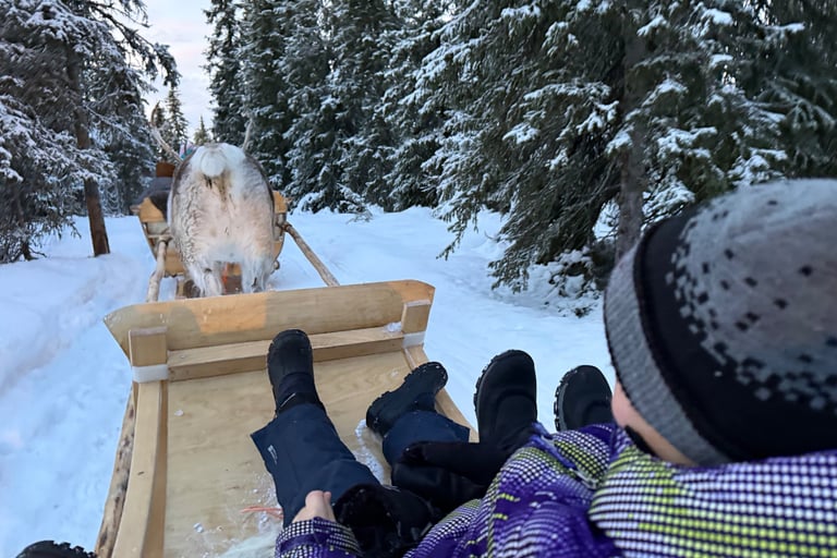 Reindeer riding with crystal ski in ruka finland