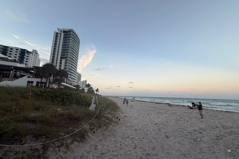 beach in miami