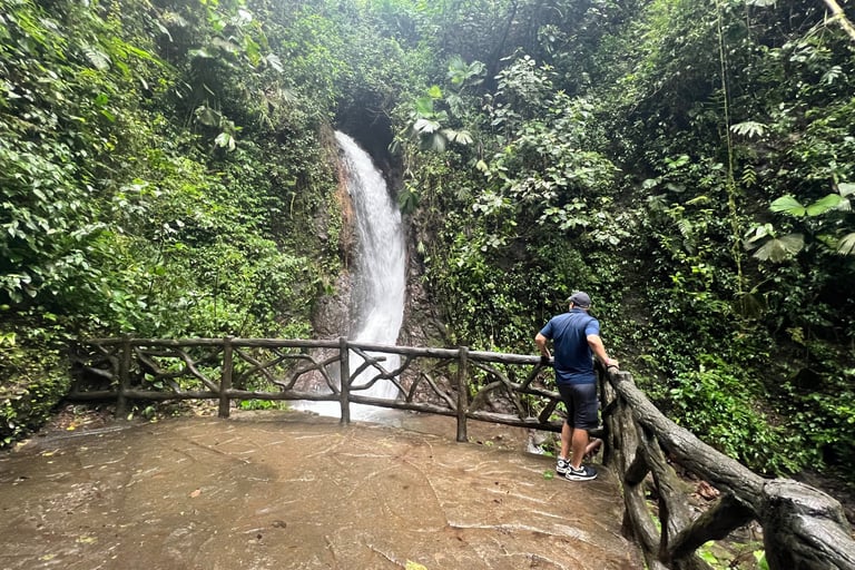 Mistico Hanging Bridges waterfall