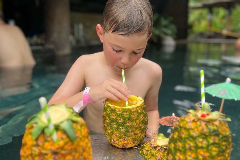 Los Lagos Hotel drinks menu