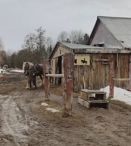 a horse leaving barn