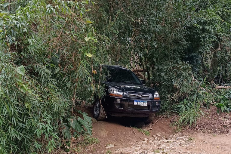 Tuscon, estacionada na Clareira entre a mata