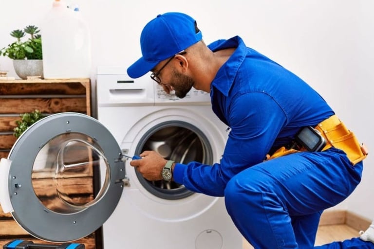 Home washing machine service by We Service