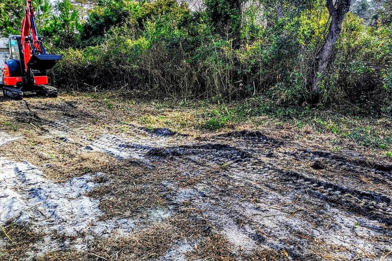 brush mowing lot thinning
