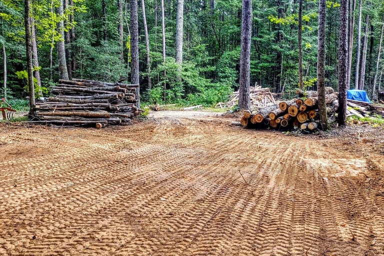 land clearing