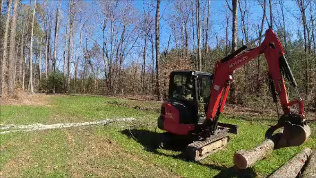 back yard expansion
