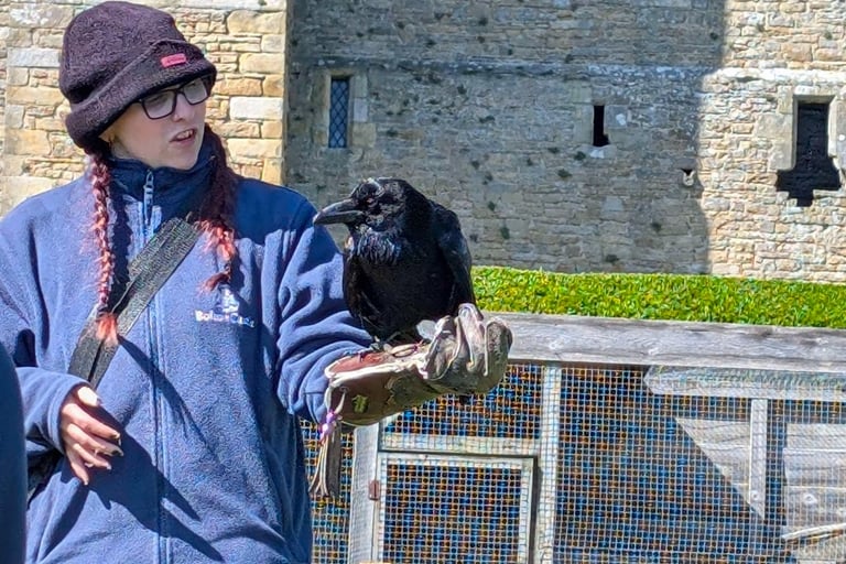A view of a person holding a bird of Prey at a display show.