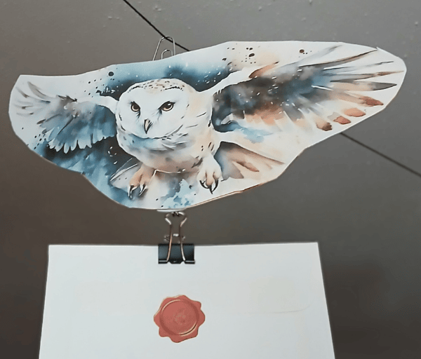 How to have owls deliver your mail. DIY Hedwig. 