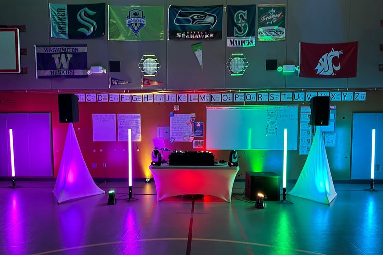 Elementary school party DJ