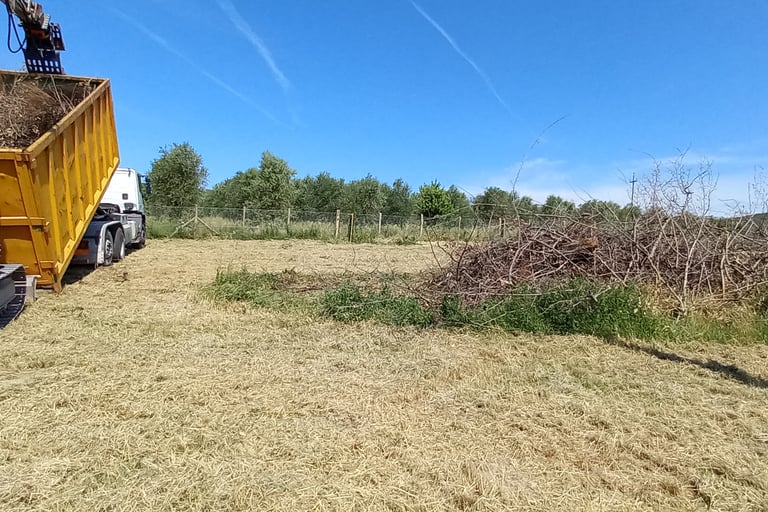 gestione potature abbattimenti amelia fornole giove attigliano guardea escavatore pulizia giardini
