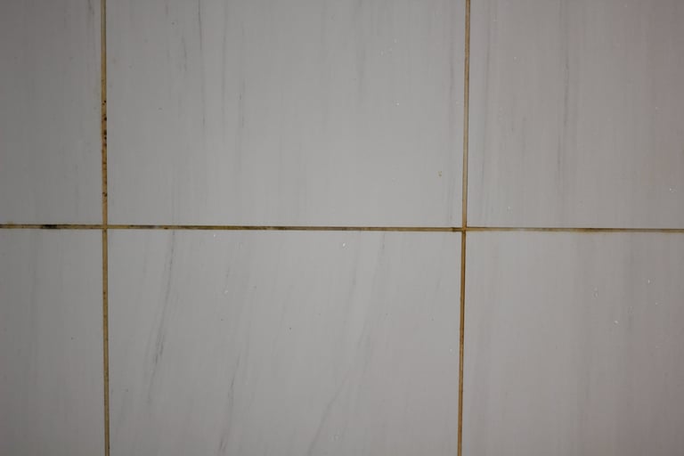 dirty shower tile and grout