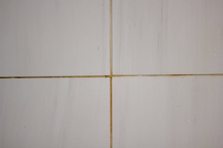 Dirty Shower Tile and Grout