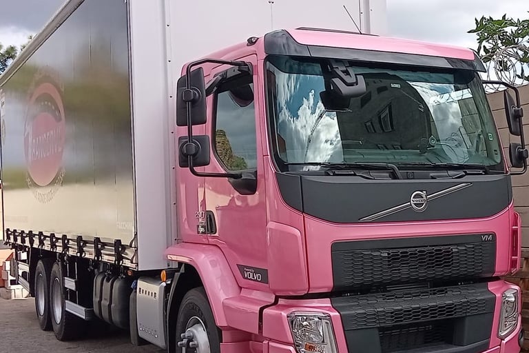 transerve-truck-sider