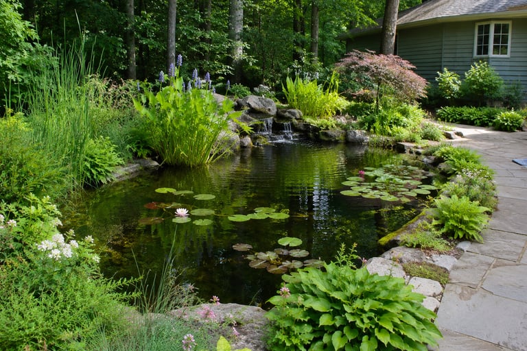Natural garden pond with water lilies and aquatic plants